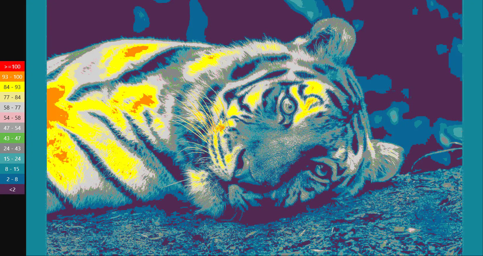 False Color image of a tiger with scale