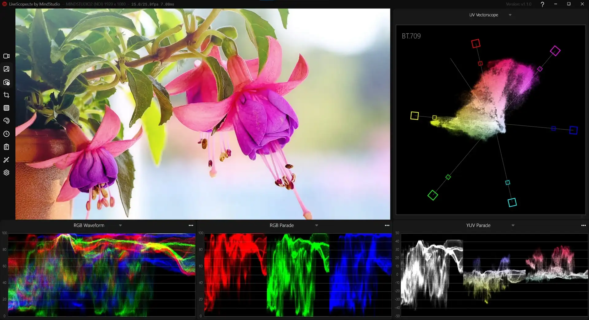 LiveScopes.tv Software Screenshot with Vectorscope, Luminance Waveform and RGB/YUV Parade