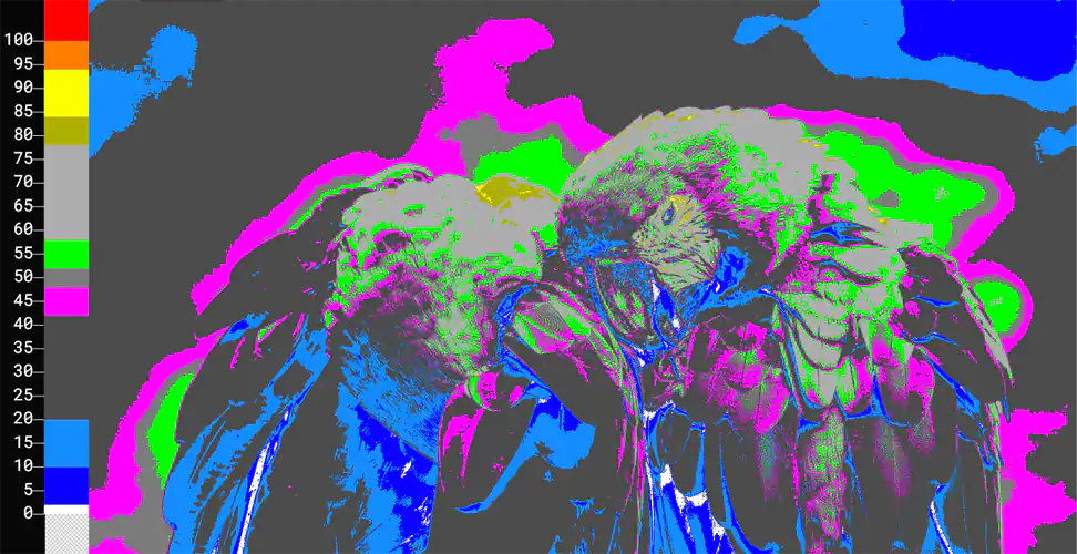 LiveScopes.tv PRO Manhatten Lcd False Color Map