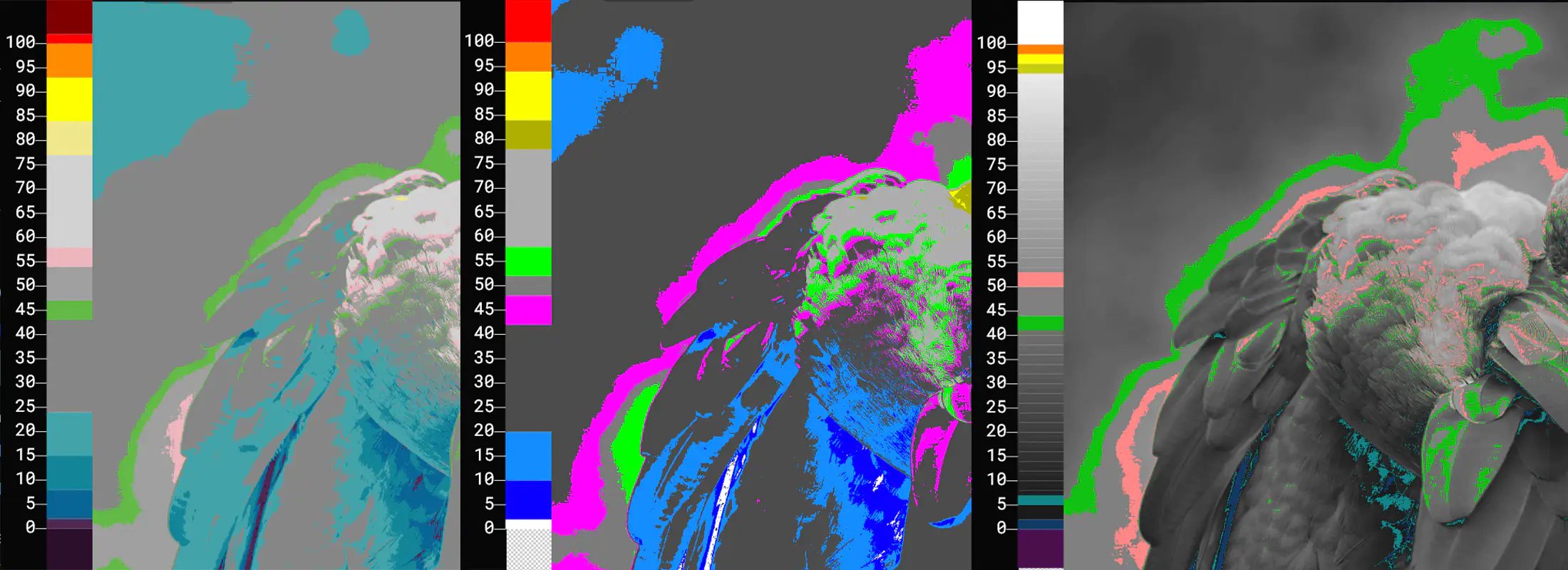 LiveScopes.tv PRO Custom False Color Maps